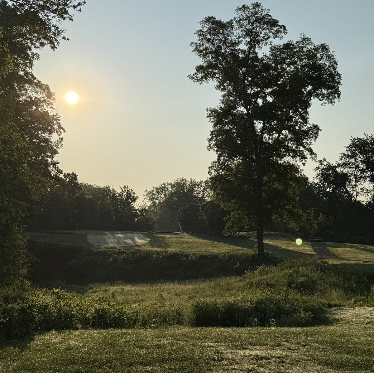 Matt Morelli 🇺🇸 tweet media