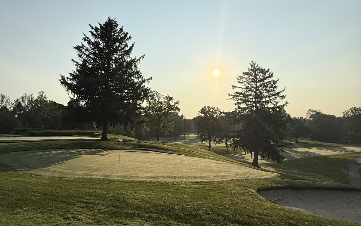 Matt Morelli 🇺🇸 tweet media