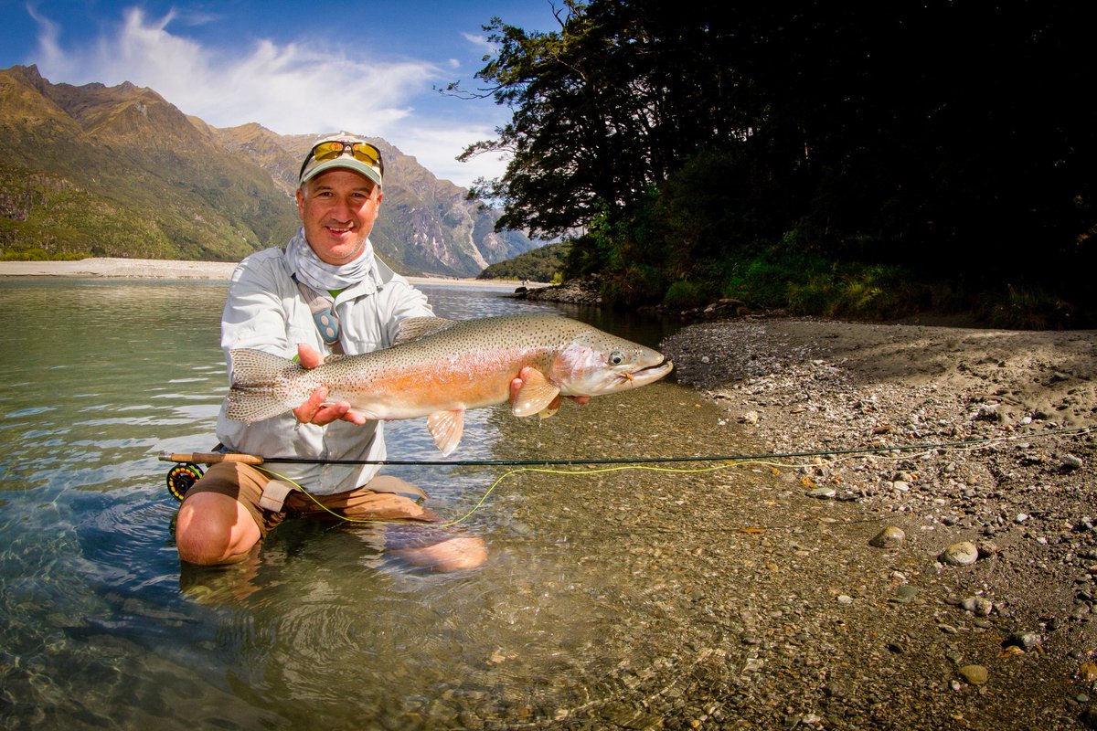 ElevenAngling (@elevenangling) on Twitter photo Large, girthy shoulders are a hallmark of the trout of New Zealand. While not all of the trout have this characteristic, it is not uncommon among these fish.
#flyfishing #flyfish #elevenangling #elevenexperience <a href="/elevenexperienc/">Eleven Experience</a> Large, girthy shoulders are a hallmark of the trout of New Zealand. While not all of the trout have this characteristic, it is not uncommon among these fish.
#flyfishing #flyfish #elevenangling #elevenexperience <a href="/elevenexperienc/">Eleven Experience</a>