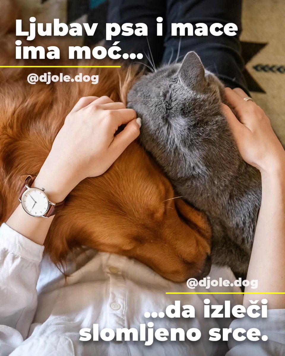 Baš tako - njihova ljubav leči...❤️