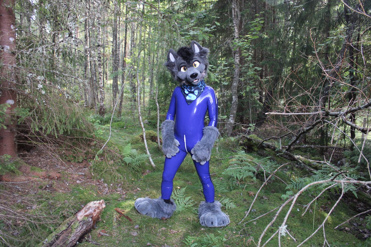 Fluffy 🆚 squeaky 😊
📸 <a href="/Andrew_fox62/">Andrew Fox 🔜 NFC, FWH</a>