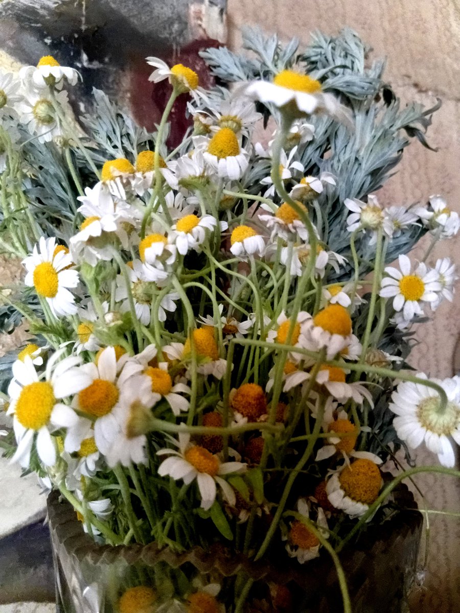 Катерина Галич tweet media