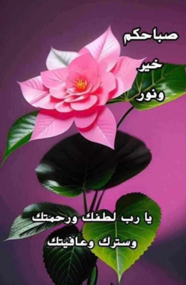 أجاب الله لكم الدعاء وأبعد عنكم البلاء ورفع شأنكم في الأرض والسماء
طاب يومكم بذكر الله واليقين في الله 
🌿صباح الخير 🌿