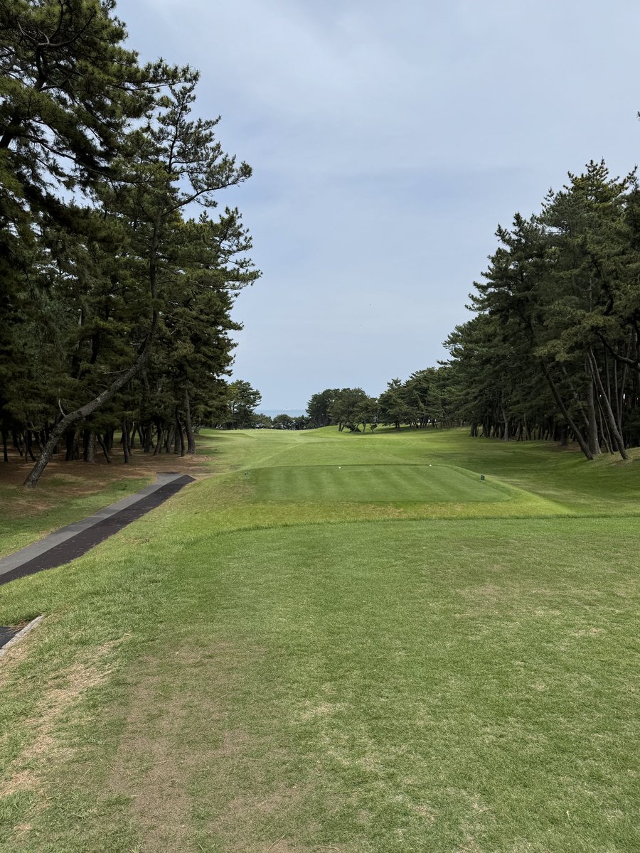 さとかずCH (@satokaz51101252) / Posts / X