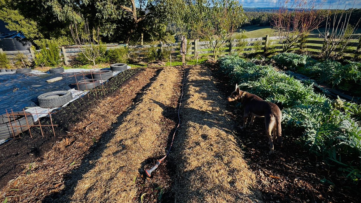 Simple solutions more often than not.