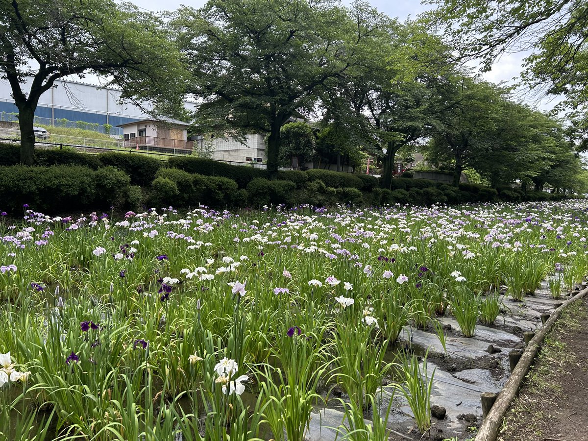 伊勢崎市観光物産協会 (@isesakikankou) / Posts / X