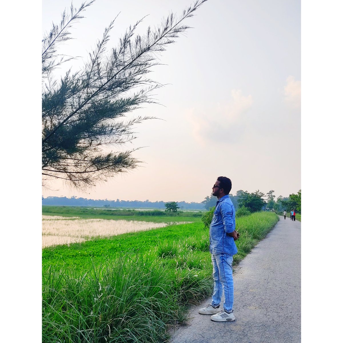 HasanPiashTech's tweet image. In the silence of nature, I found an aura that speaks louder than words.
