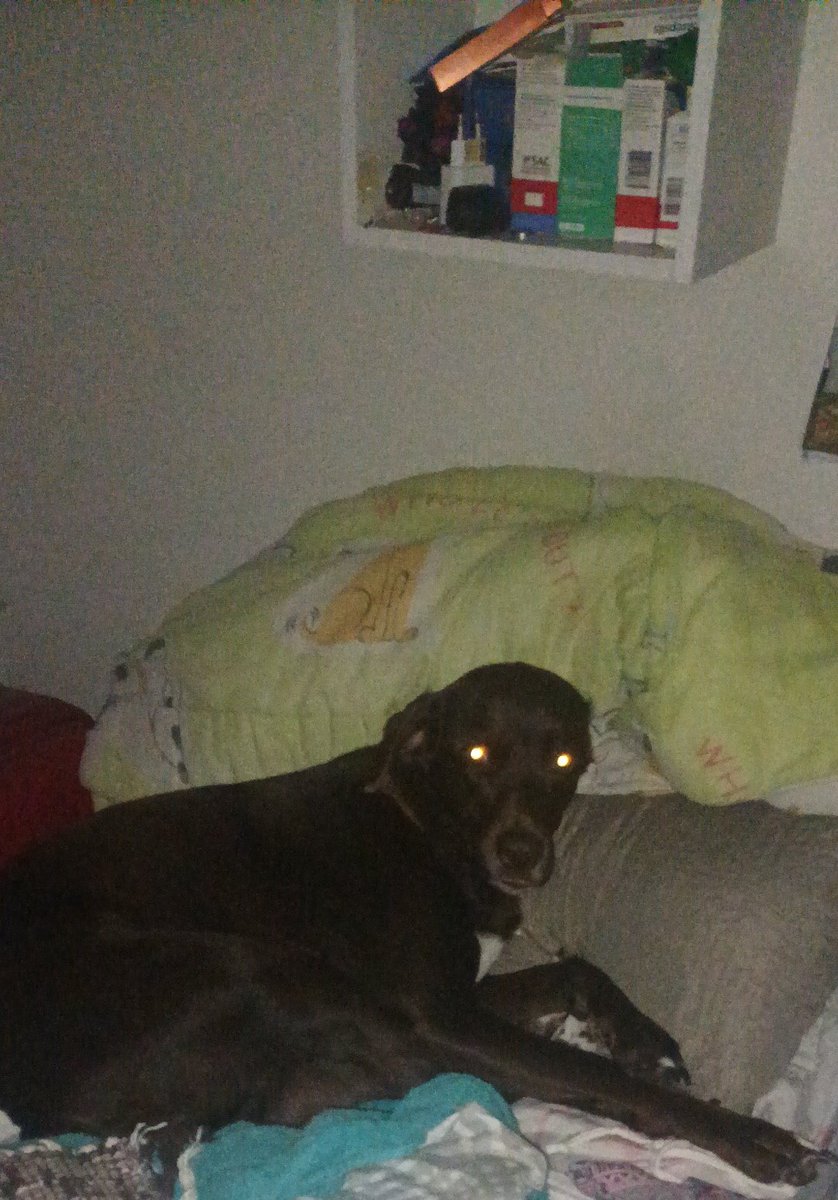 Entro no meu quarto e me separo com um tonelada de roupa em cima da minha cama e uma cadela