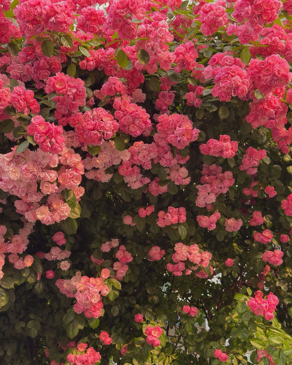 초여름 지구에서는 무슨 일이 일어나는 걸까