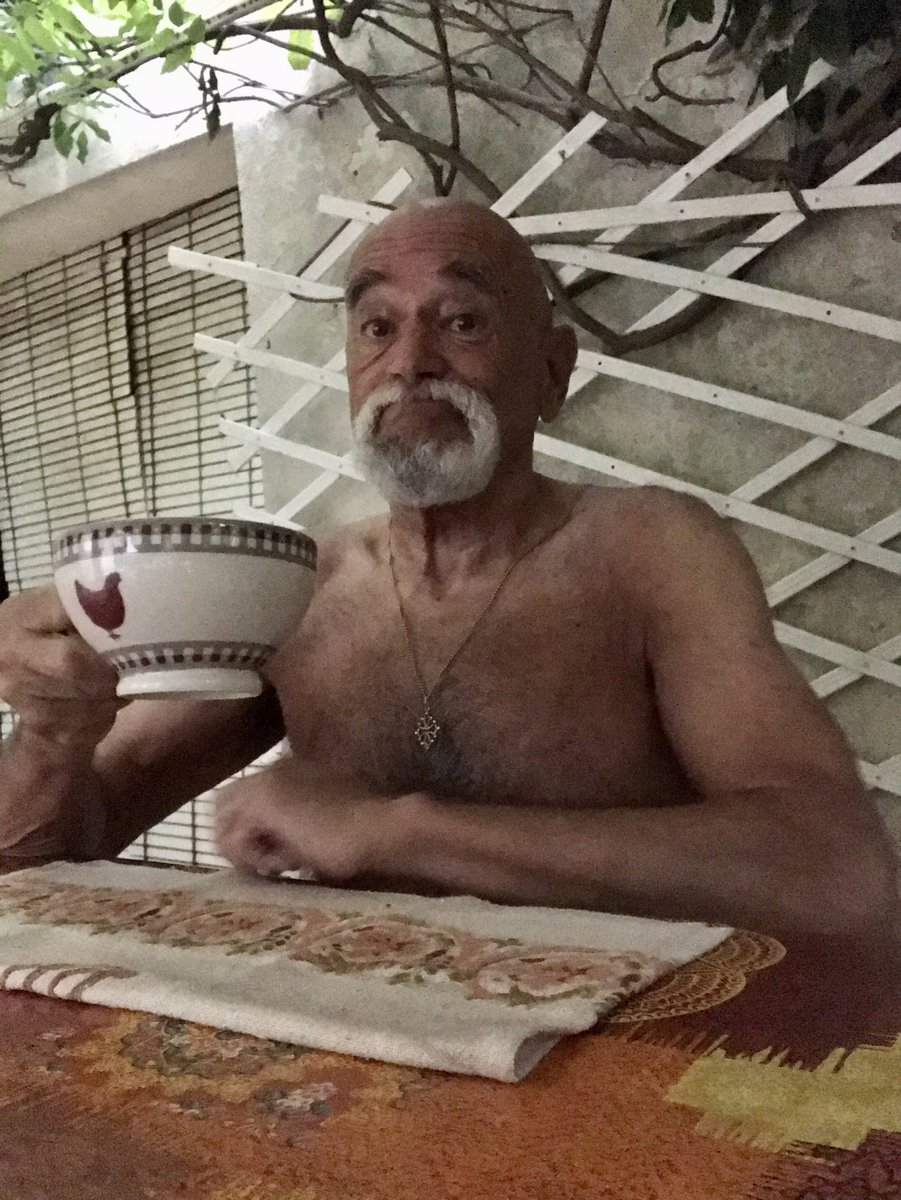 Cathare 11 tweet media