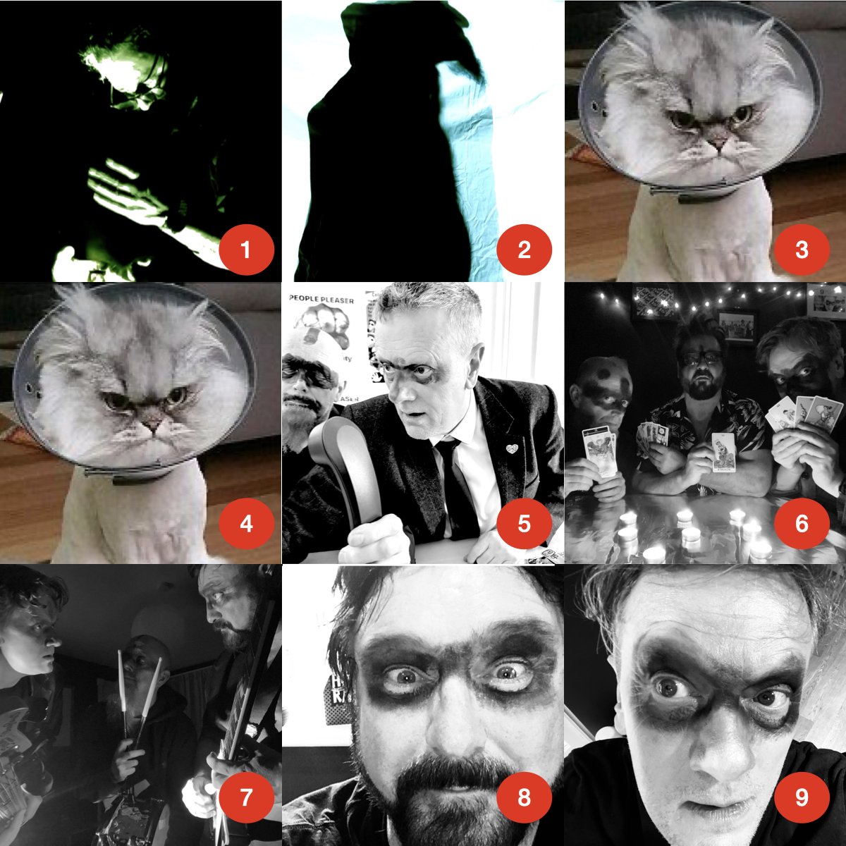 On a scale of Nasty, how Cat are you feeling today?