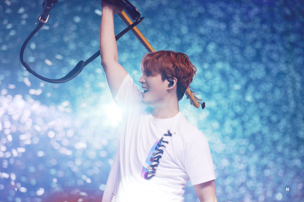 거대고양이
팔뚝