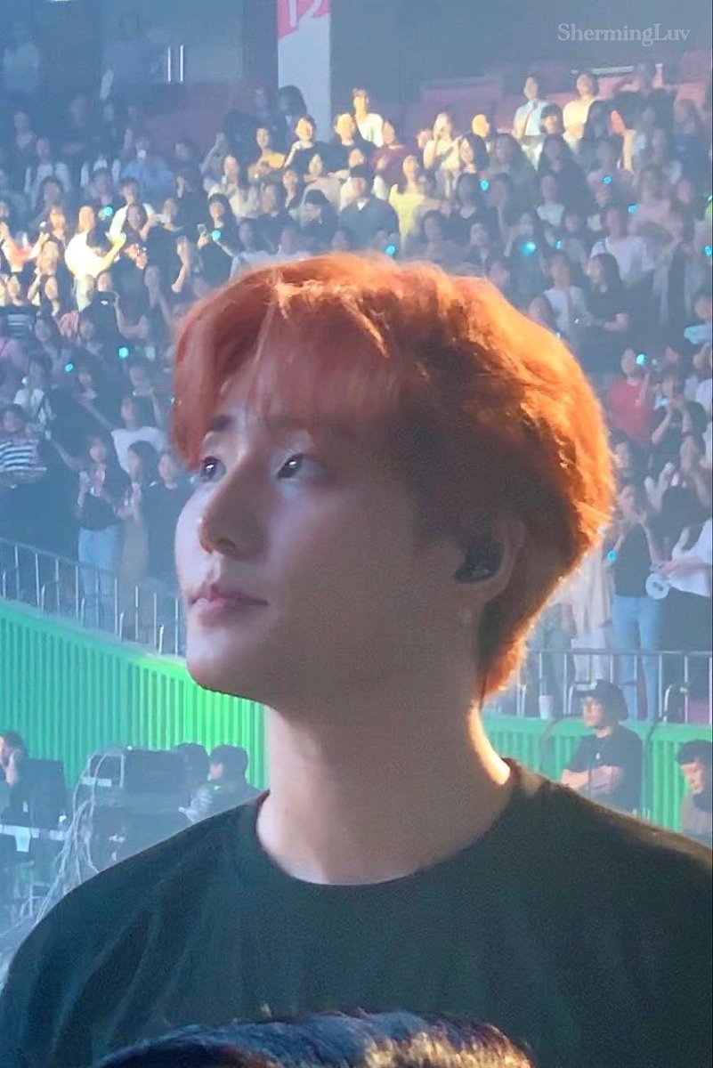 그래비티때는 진짜 뭔 아기고양이도 아니고 메인쿤 같음