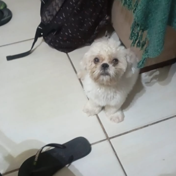Godaus7's tweet photo. obrigado por esse tempo ao meu lado, voce fez minha vida ser feliz, fica com Deus minha filha https://t.co/Du4zLv5FGN