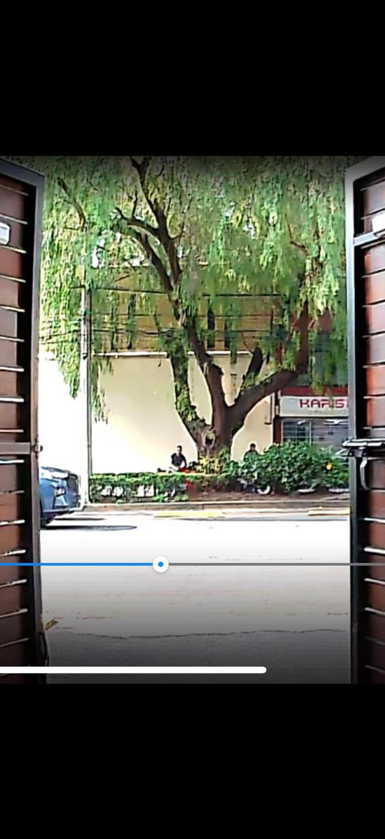 penelopevc's tweet photo. @FiscaliaCDMX @OHarfuch @PabloVazC  @SSC_CDMX @AlcaldiaBenito @LuisMendozaBJ estamos preocupados en Av José Maria Rico, entre amores y Gabriel Mancera, gente vigilando todos los días a todas horas toman fotos y con binoculares https://t.co/jpcjLoqZ4d