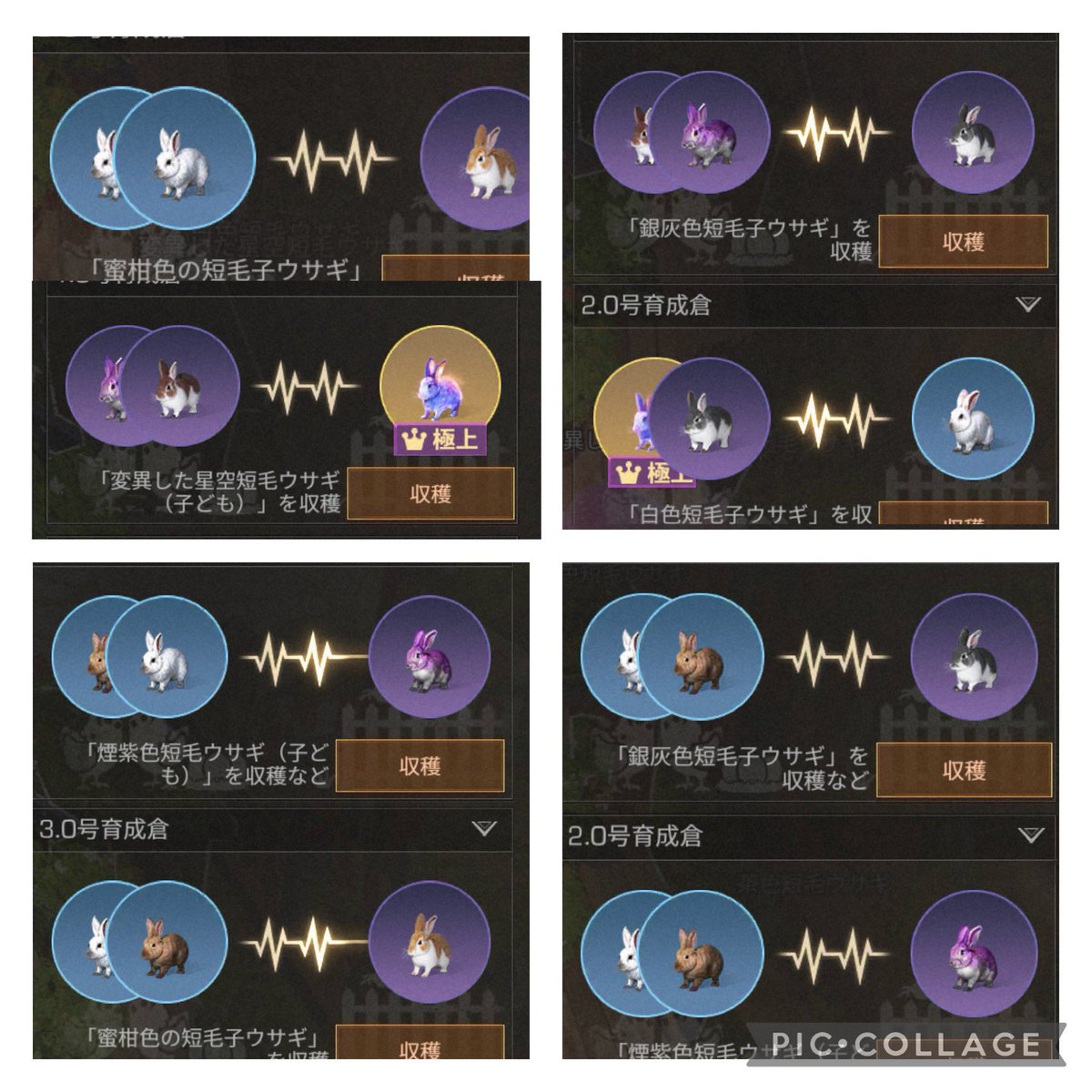 偽りの赤ドン tweet media