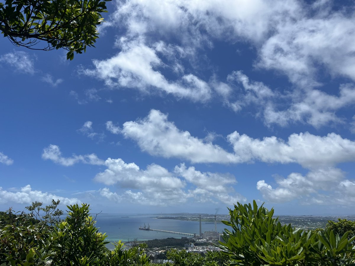 Fuko0610's tweet image. おはようございますꕤ︎︎·͜·
今朝は青空の下
気持ちよく٩( ᐛ )وテクテク
日中は33℃まで上がる⤴️予報(´ᯅ̈ )ひぇ〜!
昨日は週一の石川岳ᨒ𖤣𖥧
暑かった🥵💦
今日もあなたが
笑顔ෆ⸒⸒⸜(๑ Ŏ‿ Ŏ๑)ᕤで
いられますように➰💕
昨日の石川岳空
クマタケラン🤍 テンニンカ 🌸ノボタン