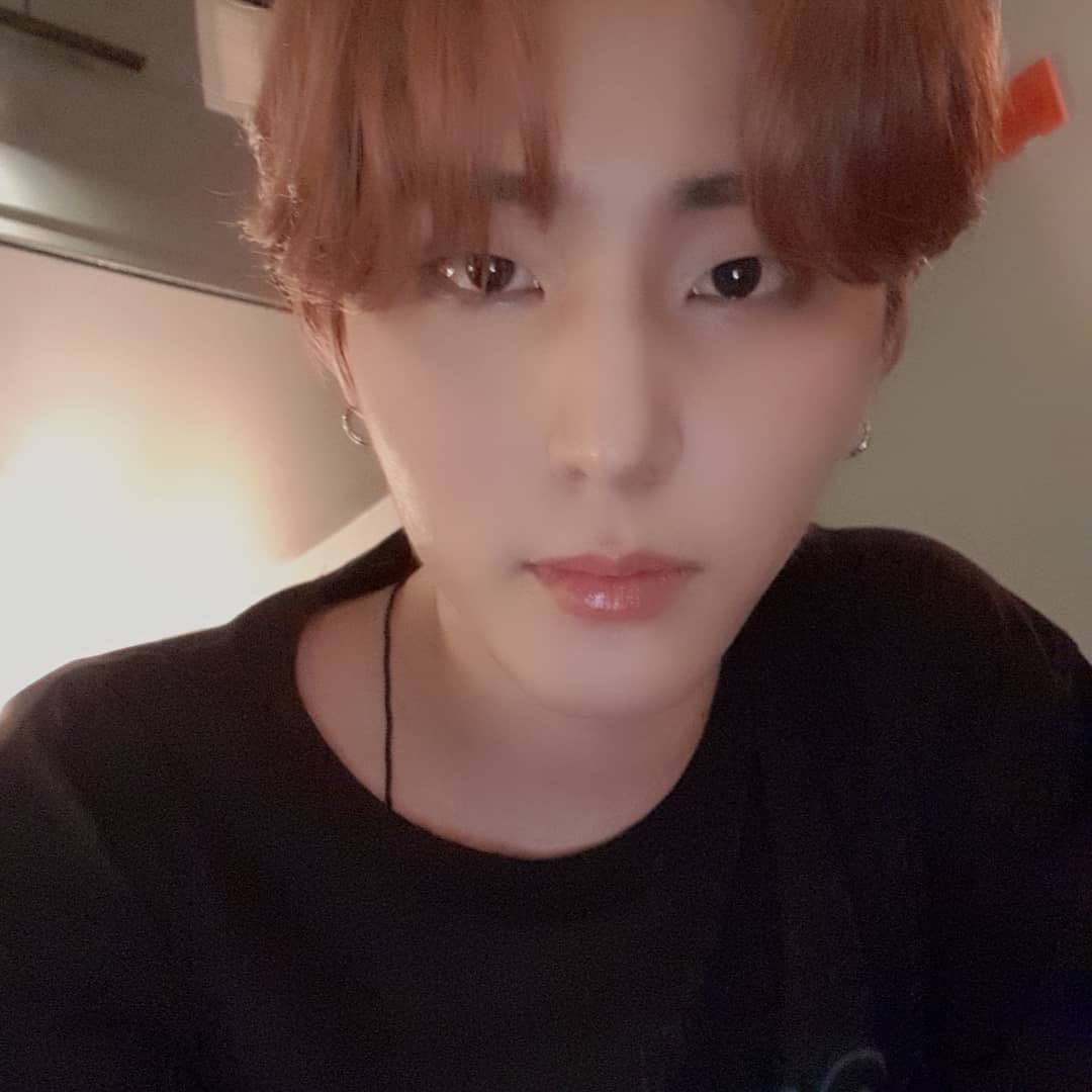 메인쿤고양이 새벽에 안 잠