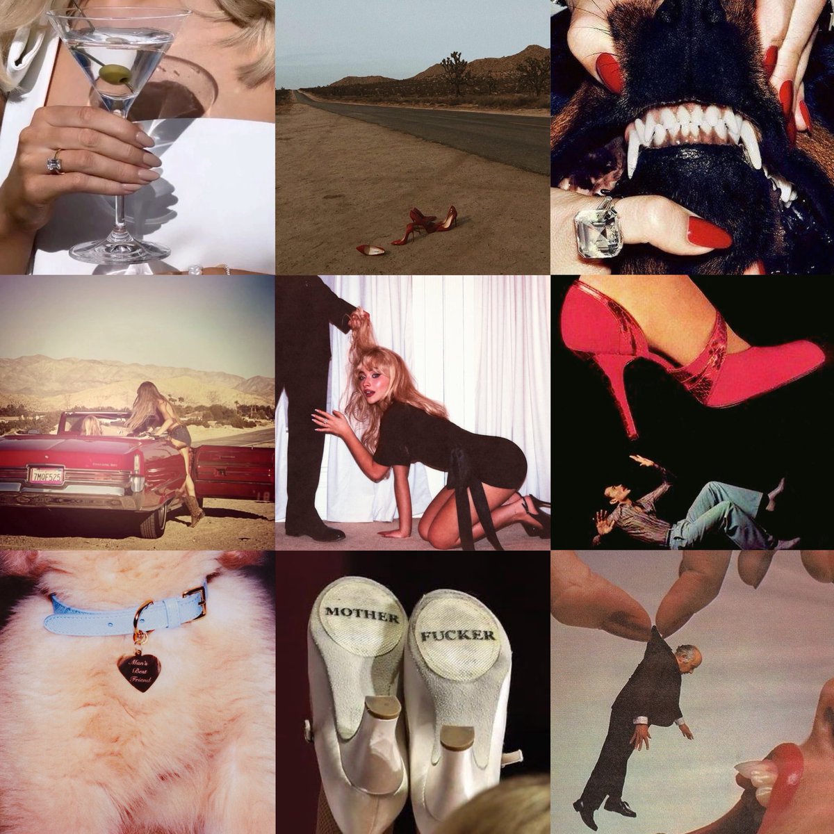 man’s best friend (1975)