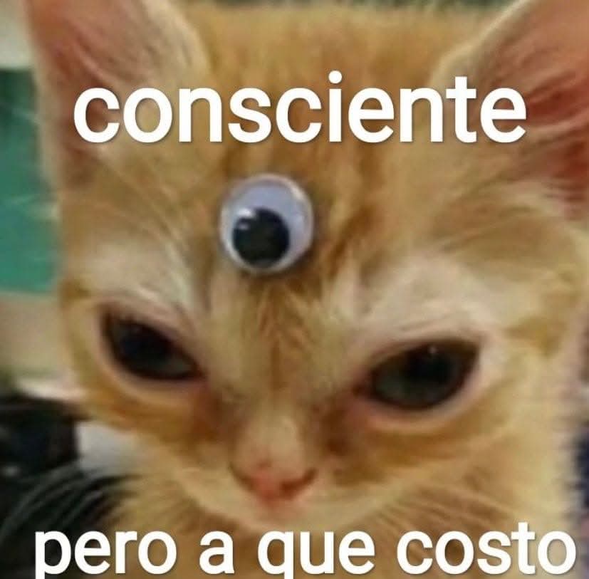 vampiro emocional (@misputaspoesias) on Twitter photo 