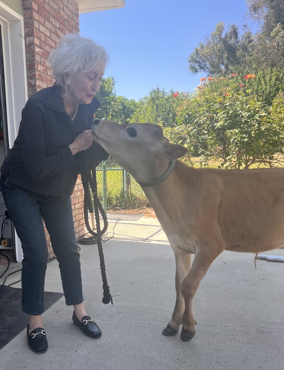 I’m working on a film about “a boy and his calf” called “Henry” and here I am with Robin who has the title role.