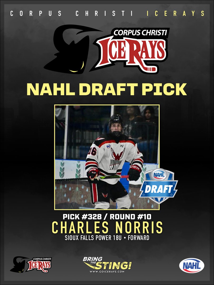 Corpus Christi IceRays (@iceraysnahl) on Twitter photo 