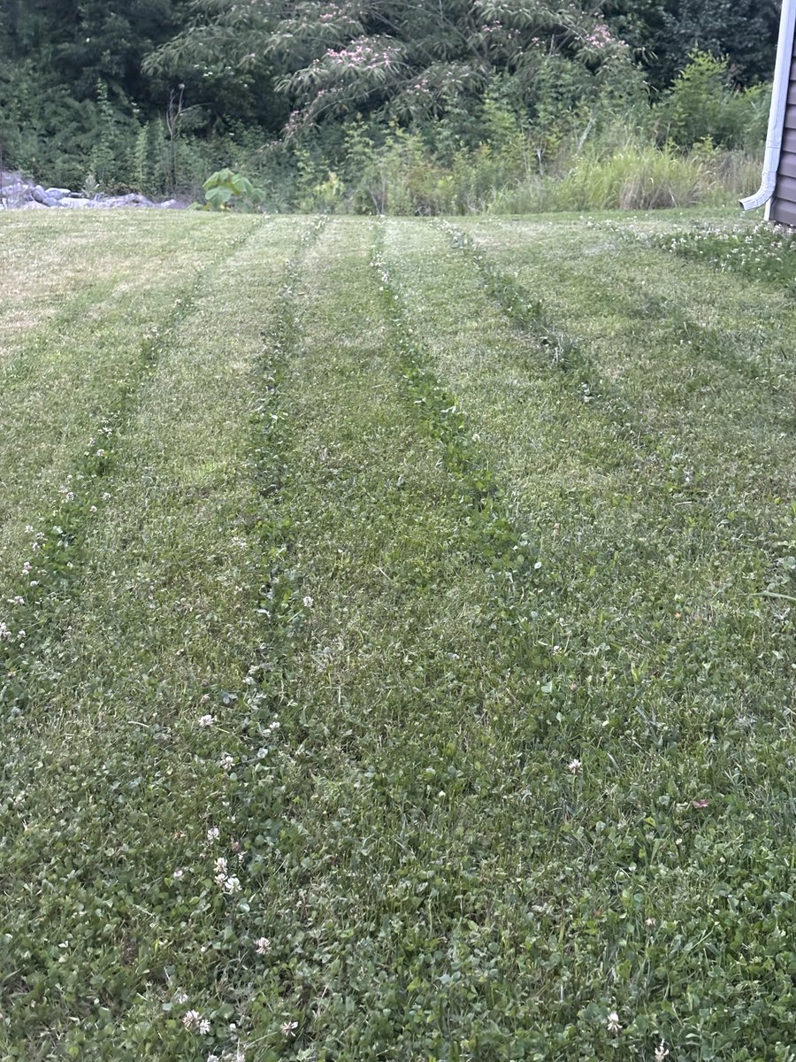 TimCupp6's tweet image. Kid up the street just graduated and trying to mow yards to make beach trip money. Looks like he has waves on the mind already. 😆