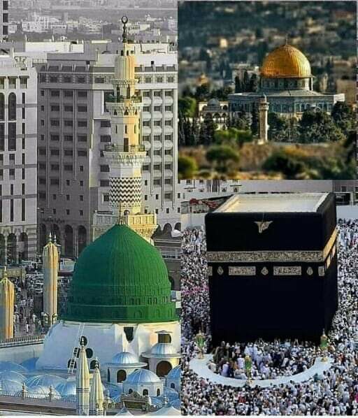 🌸ﺍسَّـــﻼَﻡُ ﻋَﻠَﻴـْـﻜُﻢ ﻭَﺭَﺣْﻤَــــﺔُ ﺍﻟﻠَّﻪِ ﻭَﺑَﺮَﻛـَـﺎﺗُﻪ🌸
🍁✨💫صبــــــح_بخــــــیر💫✨🍁
﷽
إن الله و ملائكته يصلون على النبي يا أيها الذين آمنوا صلوا عليه وسلموا تسليما ۝
 (ﷺ)
#خاتم_النبیین_محمدﷺ
✨🕋﷽#𝑮𝒐𝒐𝒅𝑴𝒐𝒓𝒏𝒊𝒏𝒈 ﷽🕋✨