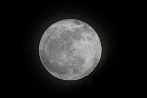 Jowie Otero (@jowie_otero) on Twitter photo Nublado pero está llena, La Luna 99% iluminada desde Carolina. <a href="/Fernando_AF14/">Fernando Aymat 𝕏</a> <a href="/AtabeyPhotog/">Atabey Photography</a> <a href="/adamonzon/">Ada Monzón</a> <a href="/alvarosayan049/">Álvaro Sayan</a> <a href="/CycloforumsPR/">CycloforumsPR</a> <a href="/DeborahTiempo/">Deborah Martorell</a> <a href="/SLopezTiempo/">Suheily López Belén</a> <a href="/BoricuaVasca/">Vascaboricua</a> <a href="/nelsonastrofoto/">NelsonAstrofoto</a> Nublado pero está llena, La Luna 99% iluminada desde Carolina. <a href="/Fernando_AF14/">Fernando Aymat 𝕏</a> <a href="/AtabeyPhotog/">Atabey Photography</a> <a href="/adamonzon/">Ada Monzón</a> <a href="/alvarosayan049/">Álvaro Sayan</a> <a href="/CycloforumsPR/">CycloforumsPR</a> <a href="/DeborahTiempo/">Deborah Martorell</a> <a href="/SLopezTiempo/">Suheily López Belén</a> <a href="/BoricuaVasca/">Vascaboricua</a> <a href="/nelsonastrofoto/">NelsonAstrofoto</a>