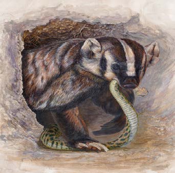 Asociación Mexicana de Mastozoología AC (@ammacmammex) on Twitter photo Les presentamos a "Un excavador imparable y maestro de la supervivencia" escrito por DI Troncoso-Aguilar, JV Rojas-Sánchez y JJ Flores-Martínez recién publicado en Therya ixmana 4(3): mastozoologiamexicana.com/ojs/index.php/…
Ilustración: Carlos Ortega Contreras
<a href="/PaBioUNAM/">Pabellón Nacional de la Biodiversidad</a> <a href="/IBUNAM_MX/">IBUNAM</a> <a href="/unam_fesz/">FES ZARAGOZA OFICIAL</a> Les presentamos a "Un excavador imparable y maestro de la supervivencia" escrito por DI Troncoso-Aguilar, JV Rojas-Sánchez y JJ Flores-Martínez recién publicado en Therya ixmana 4(3): mastozoologiamexicana.com/ojs/index.php/…
Ilustración: Carlos Ortega Contreras
<a href="/PaBioUNAM/">Pabellón Nacional de la Biodiversidad</a> <a href="/IBUNAM_MX/">IBUNAM</a> <a href="/unam_fesz/">FES ZARAGOZA OFICIAL</a>
