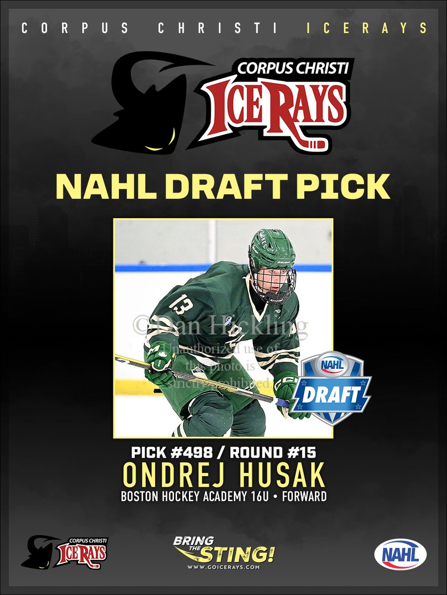 Corpus Christi IceRays (@iceraysnahl) on Twitter photo 
