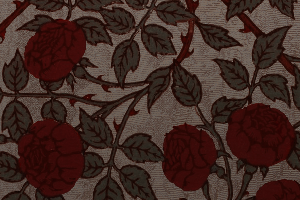 𝕷irael 𝕽edwyne tweet media