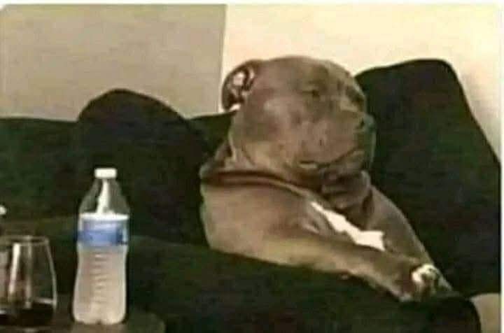 النوعية هذة في العمل ايديرلك روحه سارح وبعدين تلقاه موصل الكلام كله للإدارة .. 👌