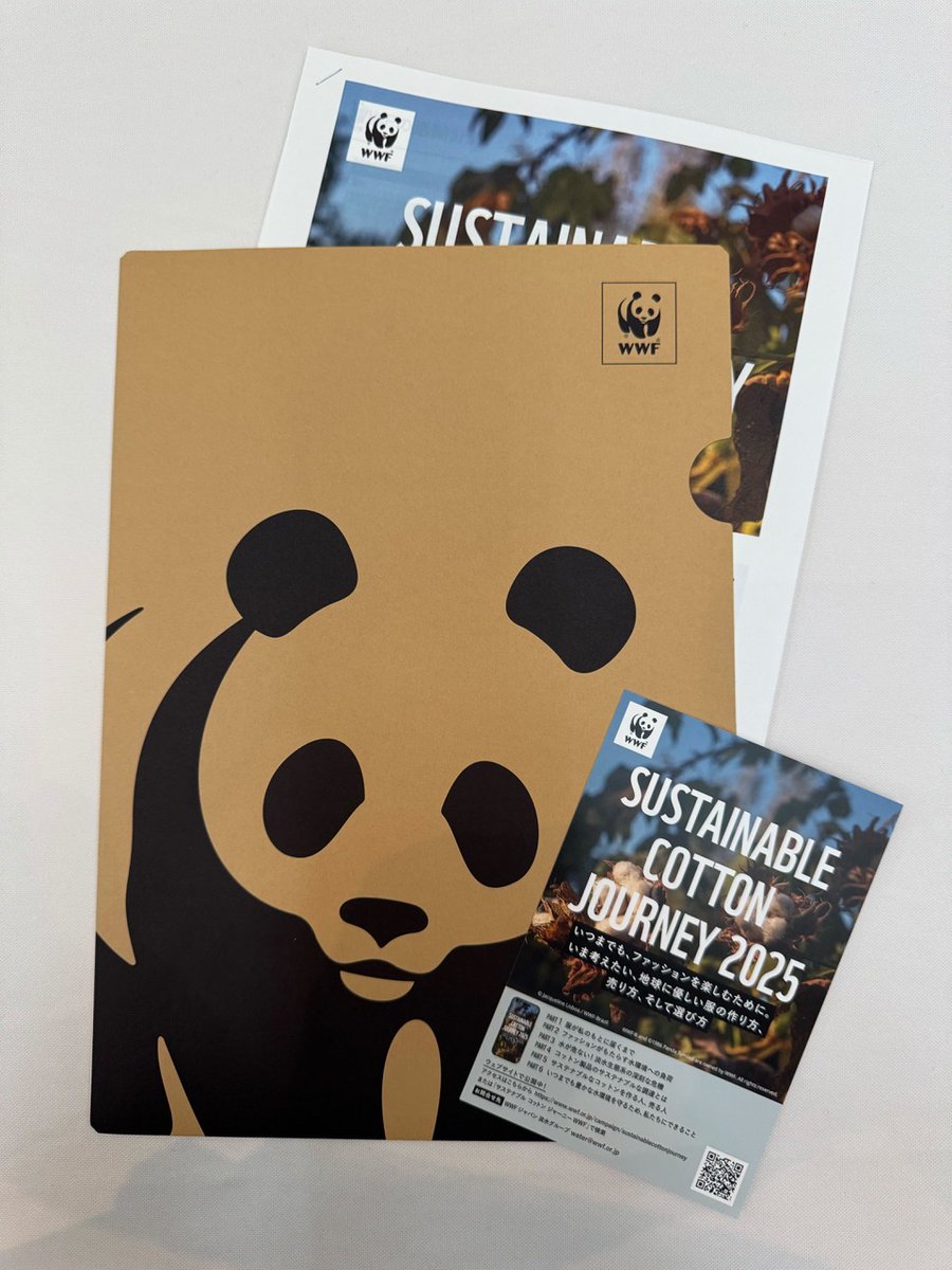 コットン　COTTON 販促　非売品　ポスター FRaU（フラウ） on X: 