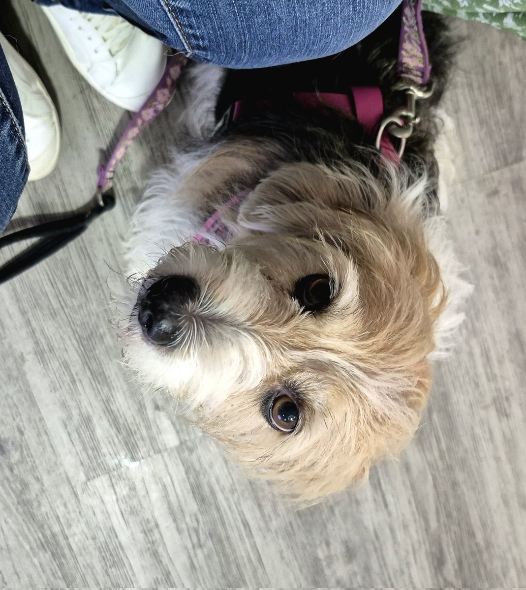 MaryHope tweet media