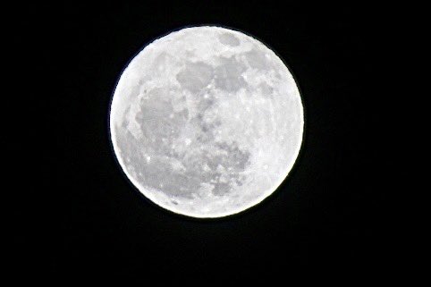 Jowie Otero (@jowie_otero) on Twitter photo Ahora sí. La Luna sin nubes que la moleste. Desde Carolina! <a href="/adamonzon/">Ada Monzón</a> <a href="/Fernando_AF14/">Fernando Aymat 𝕏</a> <a href="/AtabeyPhotog/">Atabey Photography</a> <a href="/alvarosayan049/">Álvaro Sayan</a> <a href="/TWAPuertoRico/">The Weather Alert P.R.</a> <a href="/CycloforumsPR/">CycloforumsPR</a> <a href="/DeborahTiempo/">Deborah Martorell</a> <a href="/FlorLluch/">Flor Lluch</a> <a href="/GuaybanaJota/">RealJota</a> <a href="/NormaOrtizRodr4/">Norma Ortiz Rodriguez</a> <a href="/nelsonastrofoto/">NelsonAstrofoto</a> <a href="/BoricuaVasca/">Vascaboricua</a> <a href="/SLopezTiempo/">Suheily López Belén</a> <a href="/Carlostoletv/">Carlos Tolentino</a> Ahora sí. La Luna sin nubes que la moleste. Desde Carolina! <a href="/adamonzon/">Ada Monzón</a> <a href="/Fernando_AF14/">Fernando Aymat 𝕏</a> <a href="/AtabeyPhotog/">Atabey Photography</a> <a href="/alvarosayan049/">Álvaro Sayan</a> <a href="/TWAPuertoRico/">The Weather Alert P.R.</a> <a href="/CycloforumsPR/">CycloforumsPR</a> <a href="/DeborahTiempo/">Deborah Martorell</a> <a href="/FlorLluch/">Flor Lluch</a> <a href="/GuaybanaJota/">RealJota</a> <a href="/NormaOrtizRodr4/">Norma Ortiz Rodriguez</a> <a href="/nelsonastrofoto/">NelsonAstrofoto</a> <a href="/BoricuaVasca/">Vascaboricua</a> <a href="/SLopezTiempo/">Suheily López Belén</a> <a href="/Carlostoletv/">Carlos Tolentino</a>