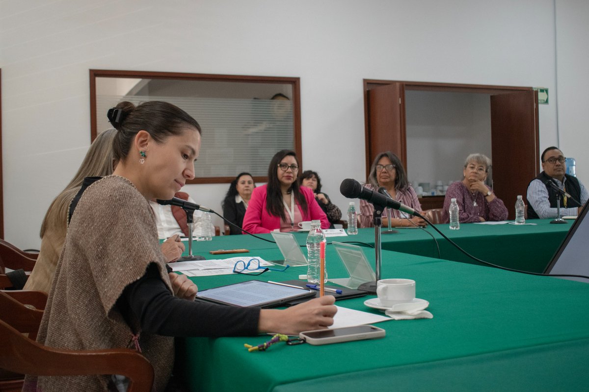 STPS_mx's tweet image. 🟢🫱🏼🫲🏼 La @STPS_mx y @Finabien_Mx fortalecen la colaboración interinstitucional en favor de las y los trabajadores mexicanos.