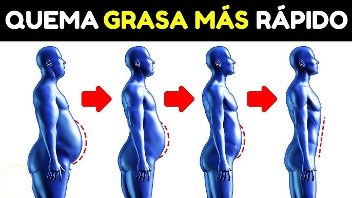 La dura verdad:

No importa cuánto ejercicio hagas, no perderás grasa hasta que arregles tu dieta.

Pero la mayoría de las personas no se dan cuenta de que existen formas sencillas de mejorar los resultados.

Aquí tienes 10 códigos de trucos que te ayudarán a perder grasa más