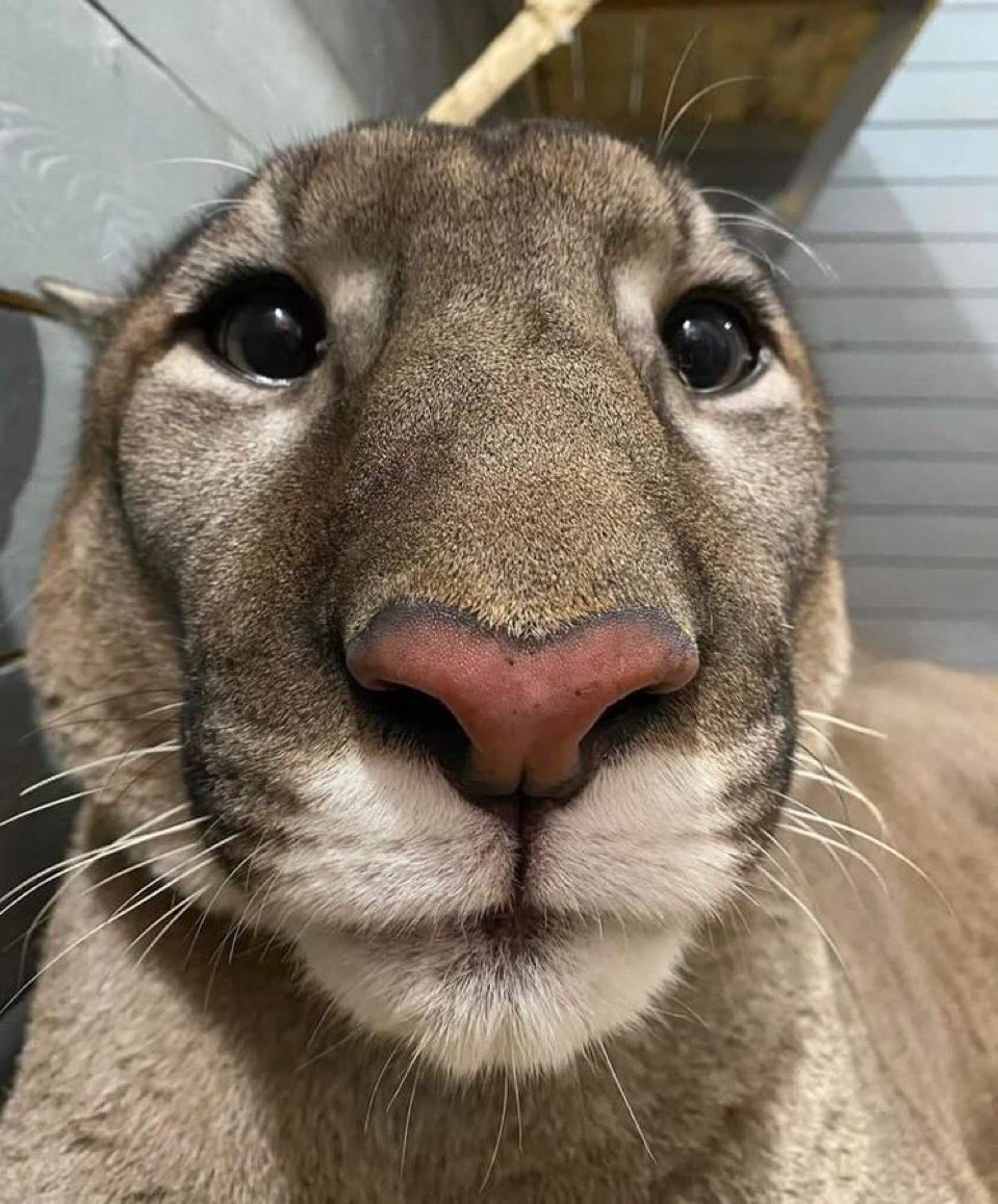 please be nice to him