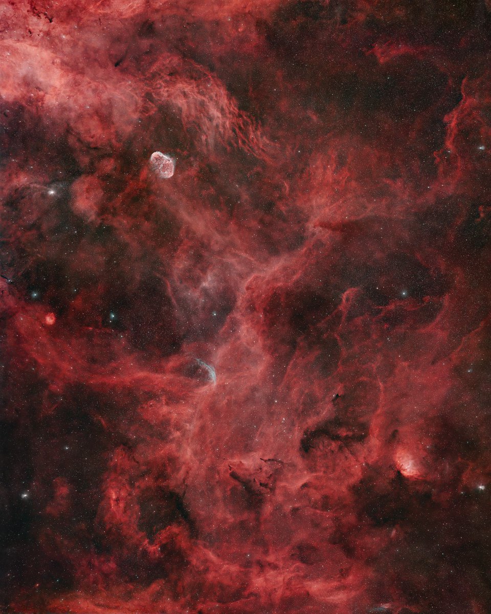 A journey through the rich Cygnus region, featuring the Crescent, Tulip, and WR 134 nebulae. This was captured in #dual narrowband (Hα-OIII).
Nikon Z6a + Nikon Z 400mm f/4.5 S
#Optolong L-Extreme #clip in
3-panel mosaic, total integration time ~22 hours
Credit: Michele Guzzini