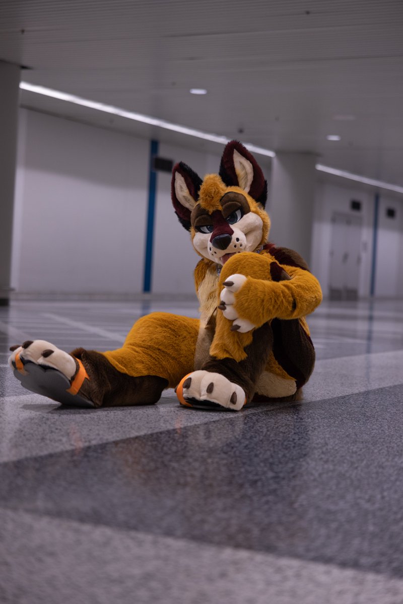 BetaEtaDelota (@betaetadelota) on Twitter photo Wyd when he gives you this look? 🧡
And THIS look? And THIS look~? And this look? 🧡👀
📸: <a href="/NovaFluffyHusky/">NovaFluffyHusky 🩵 🔜 MP</a>
#FursuitFriday #fursuit #fursuiter Wyd when he gives you this look? 🧡
And THIS look? And THIS look~? And this look? 🧡👀
📸: <a href="/NovaFluffyHusky/">NovaFluffyHusky 🩵 🔜 MP</a>
#FursuitFriday #fursuit #fursuiter