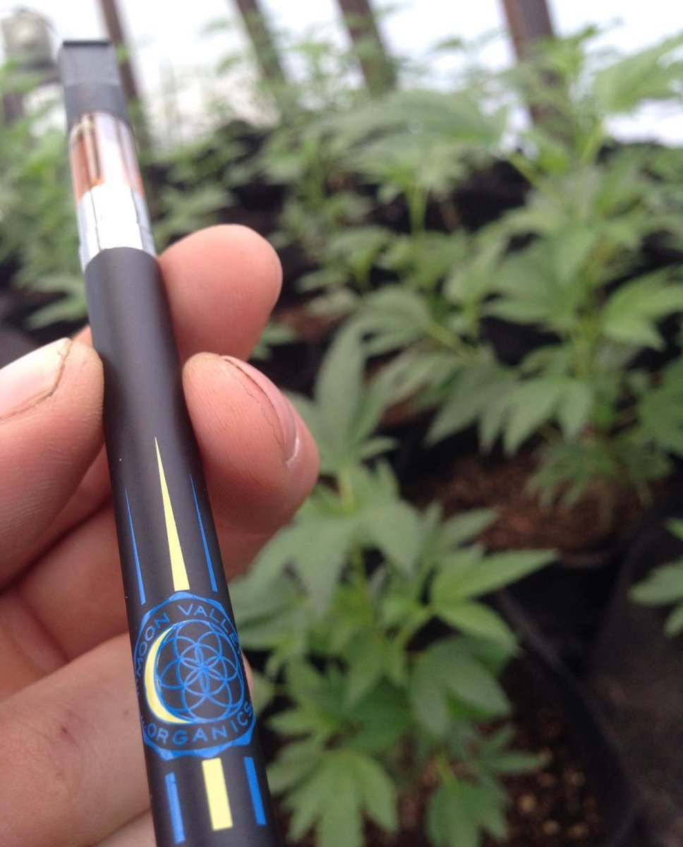 moonvalley420's tweet image. Got the #vapepens in today #ready for the #hempcon2016 this one is loaded up with some #sourdiesel #co2extract rockin #warriorspirit logo #cannabiscommunity #cammj #medicalmarijuana #medicine #707 #grownoma #dabs #dabbing #dabb #vape #vapelife #vapeporn #weed #cali #bayarea