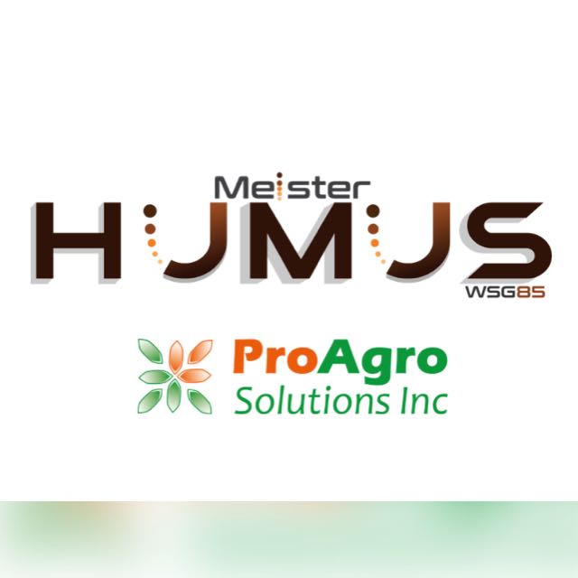 C.D.M.G (@csardacemo) on Twitter photo 