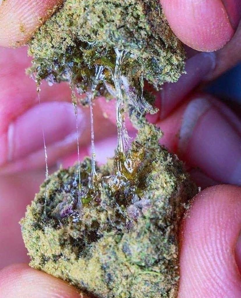 Gooey Moonrock 🤤 
stonies.shop/?ref=STONERS