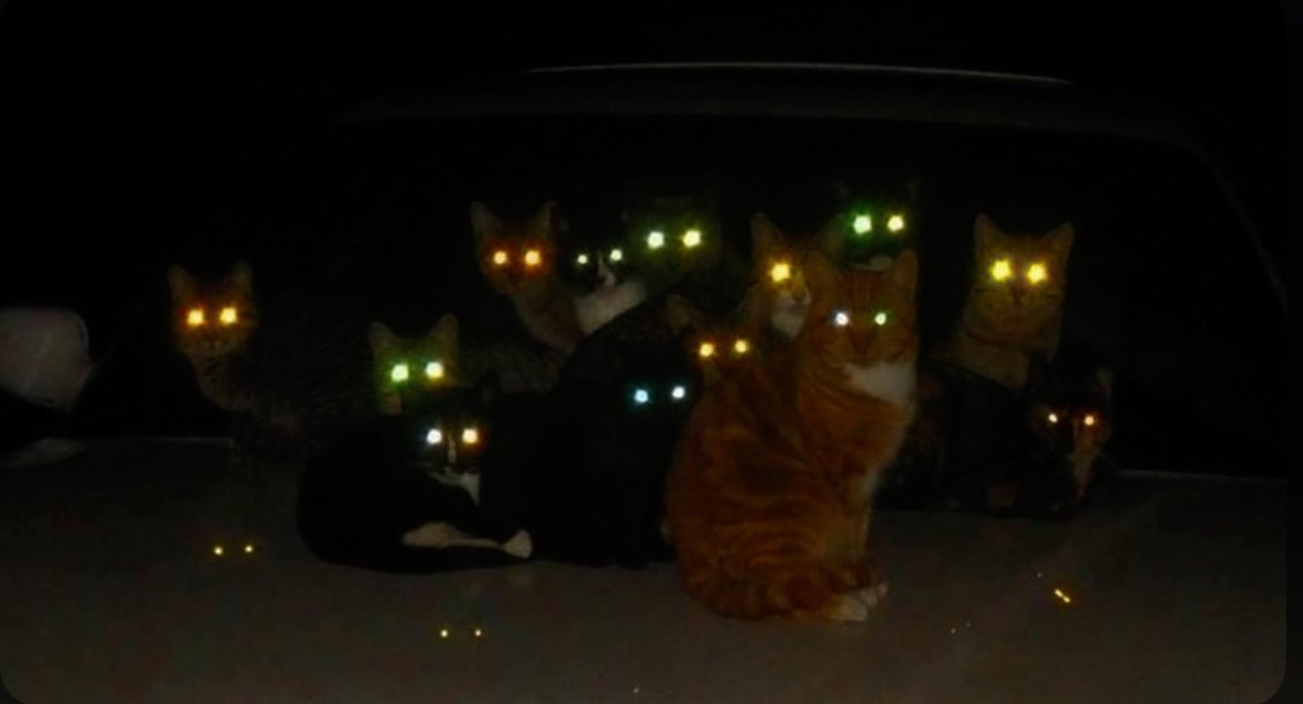 • • and i'm just trying to stay quiet • •