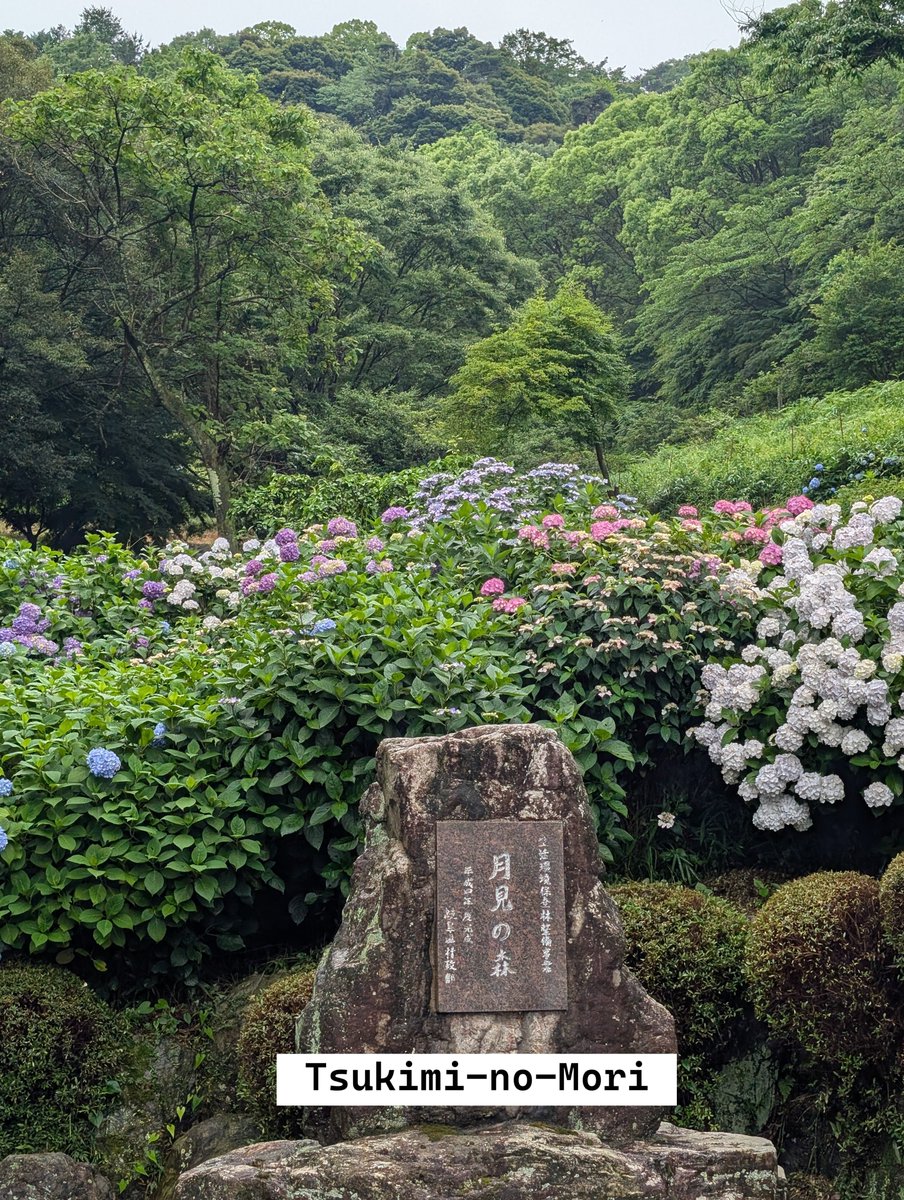 No.2【紀の里の川風景】 みー on X