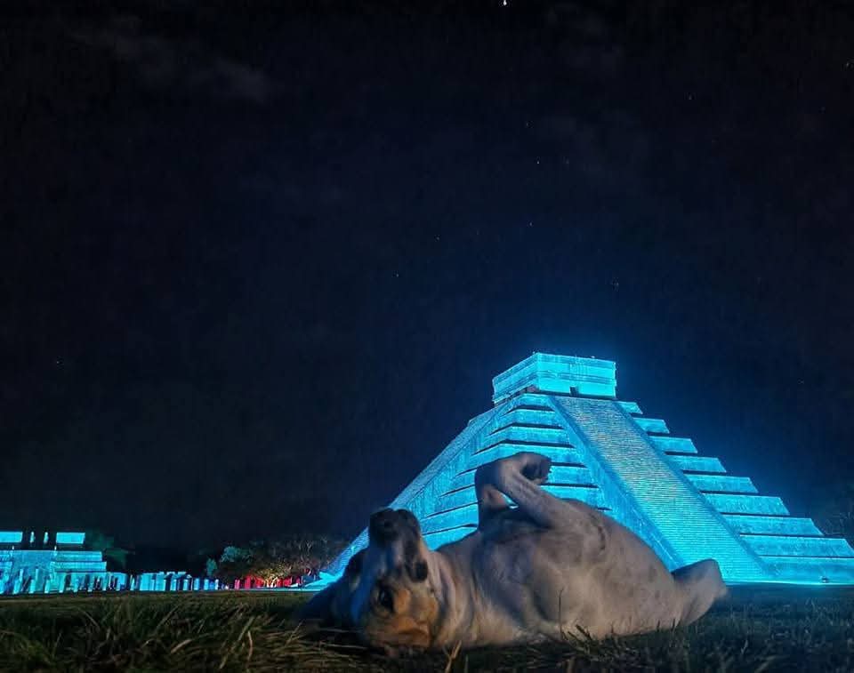 La mejor foto de la historia no exis...😍🐶🗿💫
<a href="/INAHmx/">INAH</a>

📸 Molote y Amigos