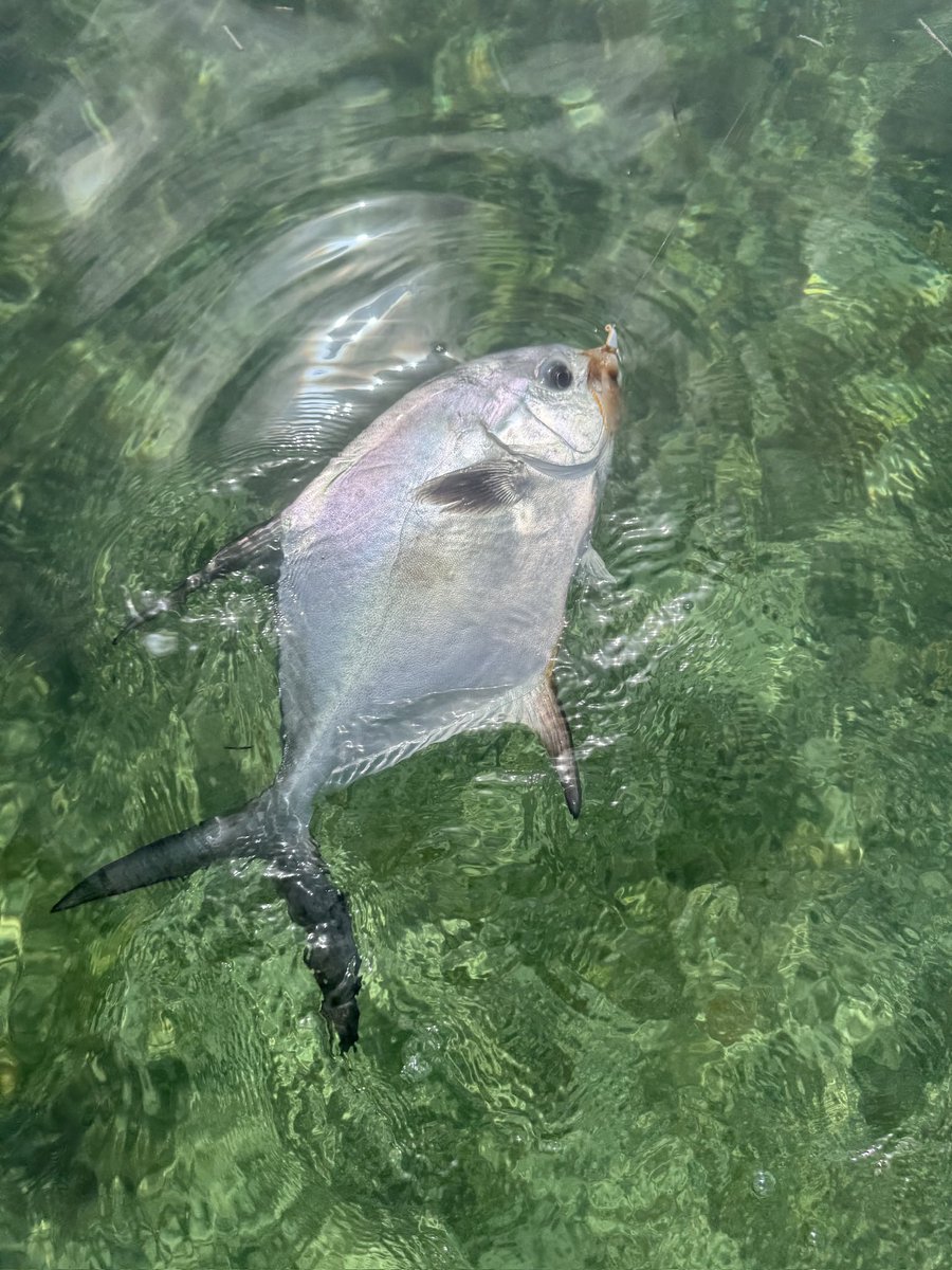 Buggs Fishing makes the jigs that catch bonefish, redfish and permit! <a href="/hellsbayboats/">Hell's Bay Boatworks</a> <a href="/YETICoolers/">YETI</a>