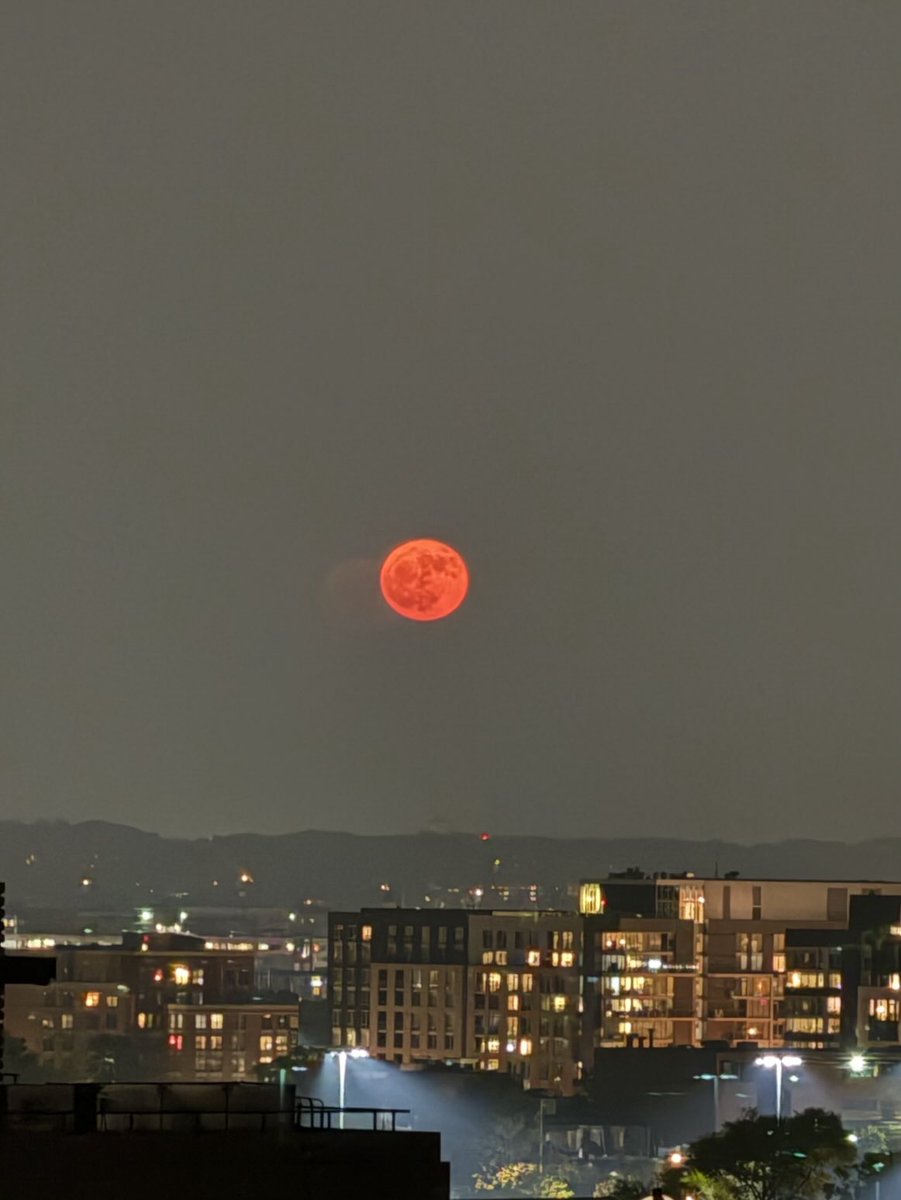 Gabriel Yorio (@gabrielyorio) on Twitter photo 