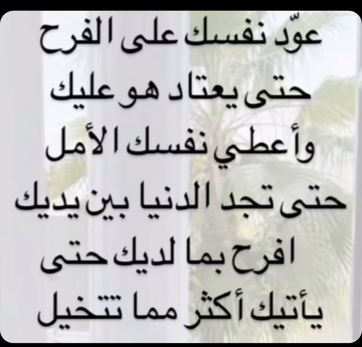 حصة الداوود tweet media